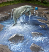 Anamorphic painting of a dolphin jumping in a pool in the middle of the street